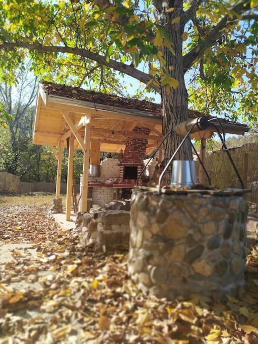 Ижата - Топлина И Уют Borovitsa المظهر الخارجي الصورة